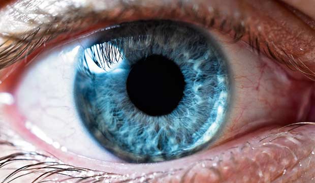 L'iridologie, observation de l'iris