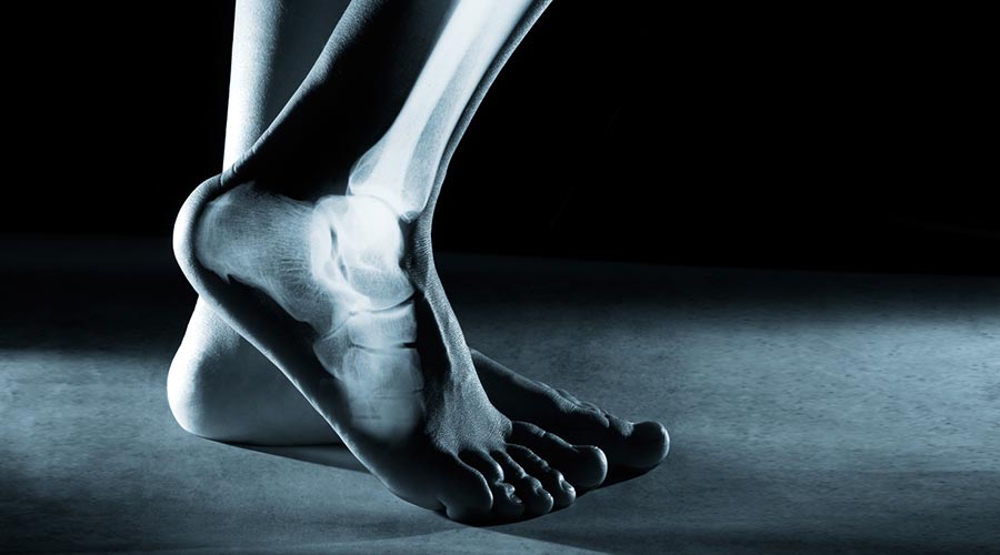 Anatomie du pied : structure et fonctions