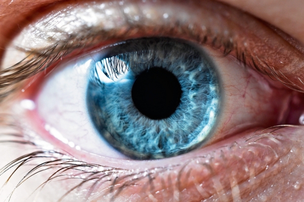 Le mois de la sensibilisation au glaucome souhaite attirer l'attention sur la perte de vision évitable : la Société canadienne d'ophtalmologie