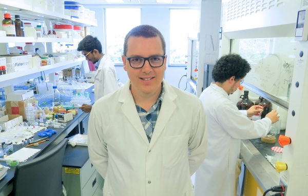 Des saponines issues de plantes pour contrer le VIH : une avancée prometteuse signée INRS