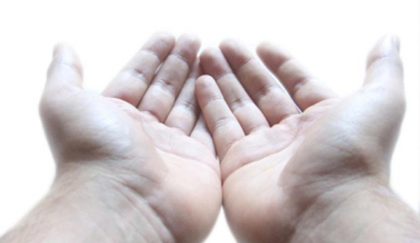 Organisation de la 11e Marche Illumine la nuit à Montréal